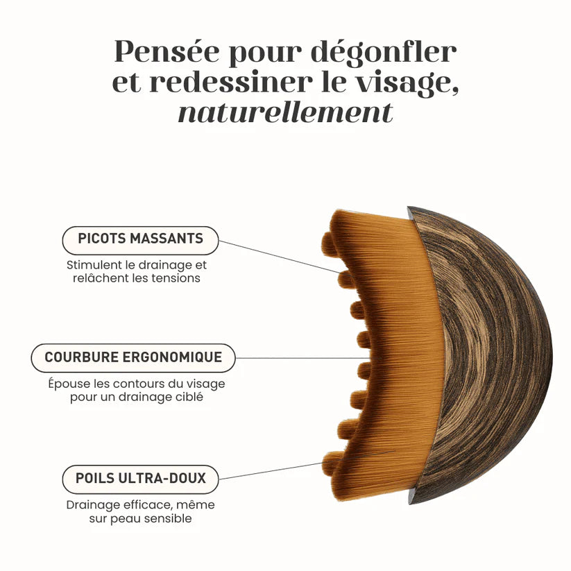 Brosse lymphatique KYIA