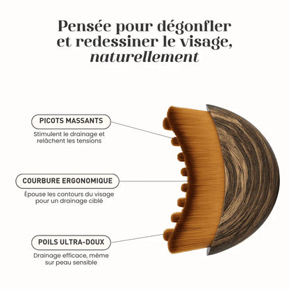 Brosse lymphatique KYIA